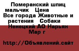 Померанский шпиц мальчик › Цена ­ 30 000 - Все города Животные и растения » Собаки   . Ненецкий АО,Нарьян-Мар г.